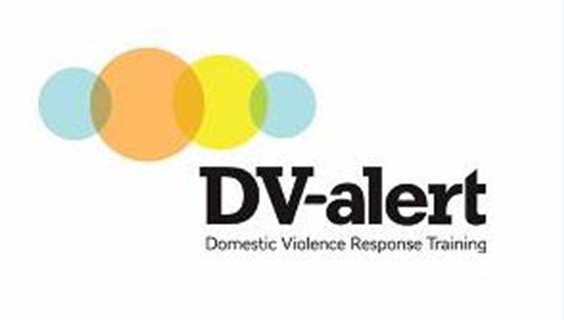 DV Alert Logo